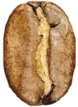 ligero